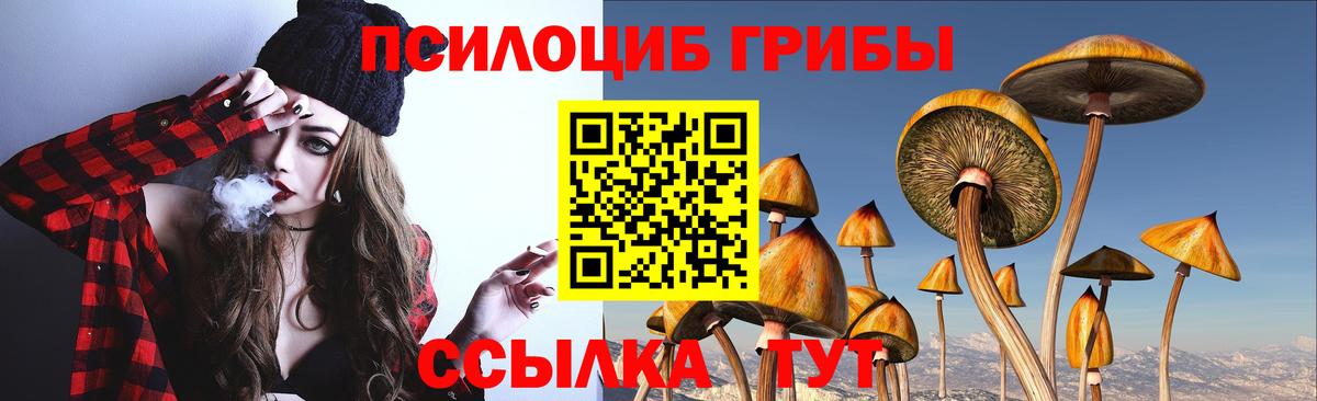 Семёнов  Галлюциногенные грибы GOLDEN TEACHER  Вход с VPN  Псилоцибиновые грибы Psilocybine cubensis 